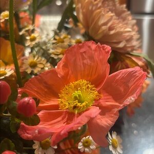 Meet your Posher, San Diego